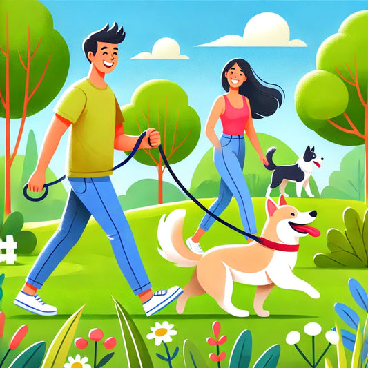 Dog Walking